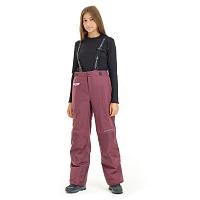 Снегоходные штаны детские Dragonfly Gravity Teenager 2023 Purple - Black